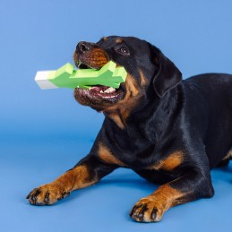 Sterk hondenspeelgoed