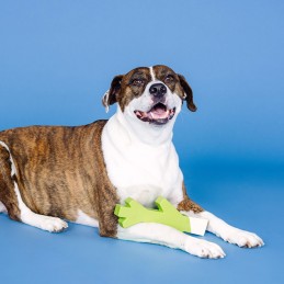 Speelgoed hond onverwoestbaar