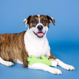 Beste kauwspeelgoed hond