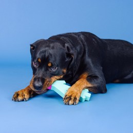 Stevig kauwspeelgoed hond tanden