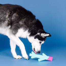 Onverwoestbaar hondenspeelgoed