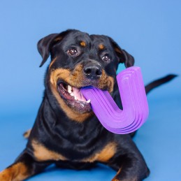 Onverwoestbaar honden speelgoed online