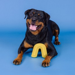 Onverwoestbaar speelgoed grote hond