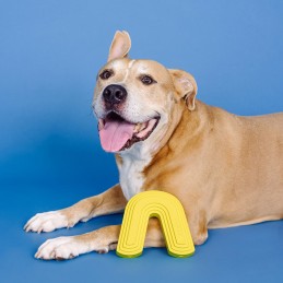 Onverwoestbaar speelgoed grote honden