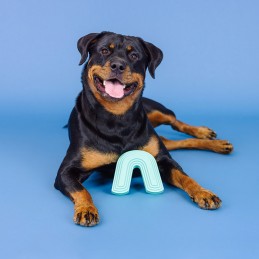 Onverwoestbare speeltjes grote hond