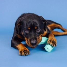 Onverwoestbare speeltjes voor grote honden