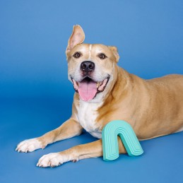 Onverwoestbare speeltjes voor honden