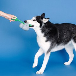 Onverwoestbaar speelgoed voor hond