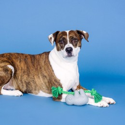 Onverwoestbaar speelgoed voor honden kopen