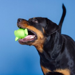 Snack speelgoed honden kopen