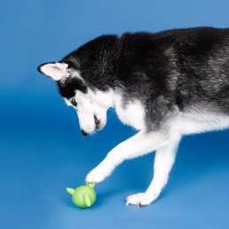 Snacks speelgoed hond