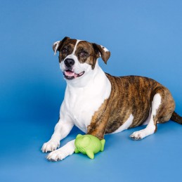 Snacks speelgoed hond kopen