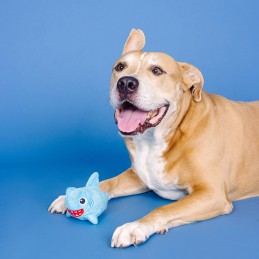 Honden speelgoed voor slopers