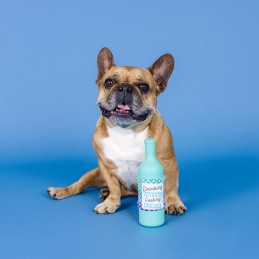 Honden speelgoed voor slopers online