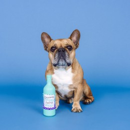 Honden speelgoed voor slopers rubber