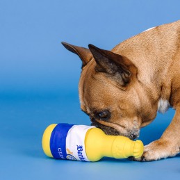 Hondenspeeltjes voor kauwers