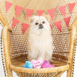 Speelgoed Hond Valentijn kopen online