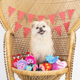 Speelgoed Hond Valentijn bestellen