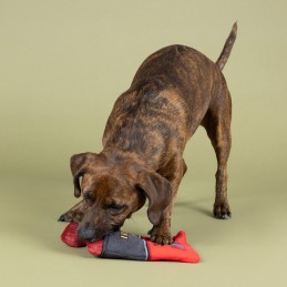 Hondenspeelgoed interactief kopen