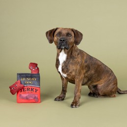 Honden speelgoed interactief