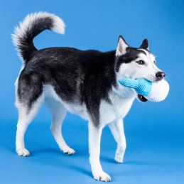 Golf speelgoed voor honden