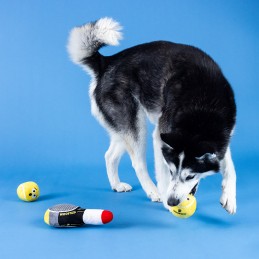 Hondenspeelgoed tennis