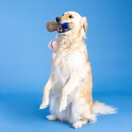 speelgoed hond pluche