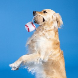 pluche hondenspeeltjes