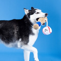 Hondenspeeltjes pluche