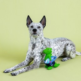 sterke hondenspeeltjes