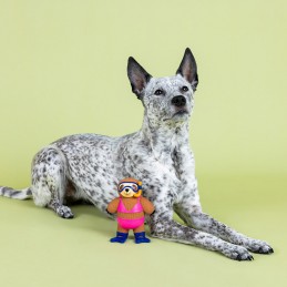 Leukste hondenspeelgoed