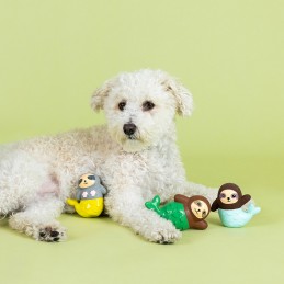 Beste speelgoed voor honden kopen