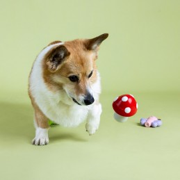 Speelgoed voor honden latex