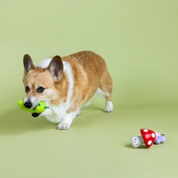 Speelgoed voor honden stevig