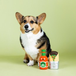 Mooi speelgoed voor honden