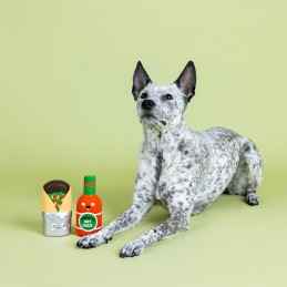 Leuk speelgoed voor honden