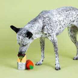 Beste speelgoed voor honden