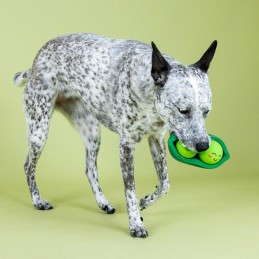 hondenspeelgoed sterk