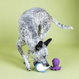 Leukste speelgoed voor honden online