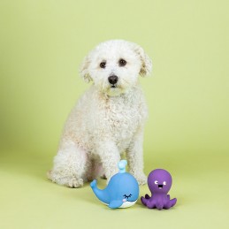 Leukste speelgoed voor honden kopen