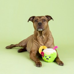 Hondenspeeltjes met piep