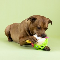 Hondenspeeltje met pieper