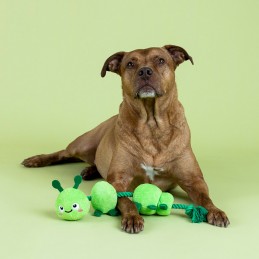 Kauwspeeltje hond kopen