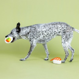 latex speelgoed hond sushi