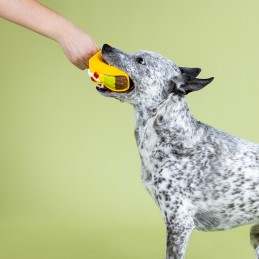 speelgoed hond sterk kopen online