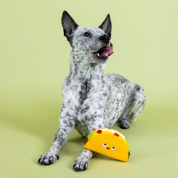 speelgoed hond sterk kopen