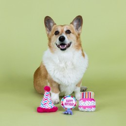 verjaardag speelgoed voor honden online kopen