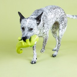 Speelgoed hond kopen