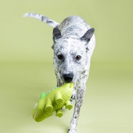 Stevig speelgoed hond kopen