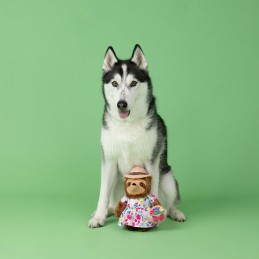 Hondenspeeltje luiaard kopen